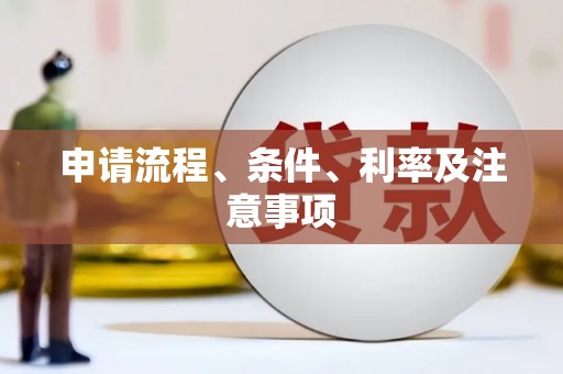 聂荣申请流程、条件、利率及注意事项