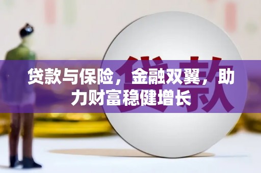 聂荣贷款与保险，金融双翼，助力财富稳健增长