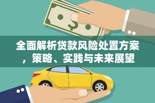 聂荣全面解析贷款风险处置方案，策略、实践与未来展望