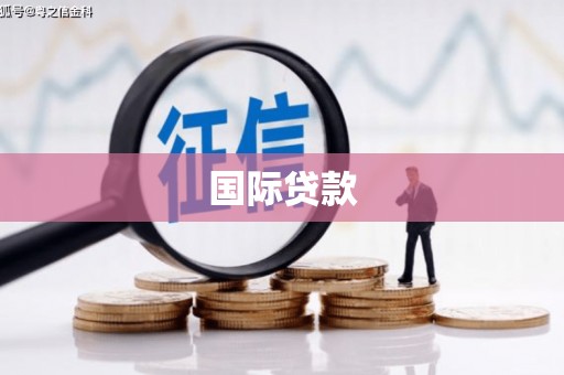 聂荣国际贷款