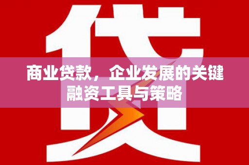 聂荣商业贷款，企业发展的关键融资工具与策略