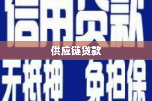 聂荣供应链贷款