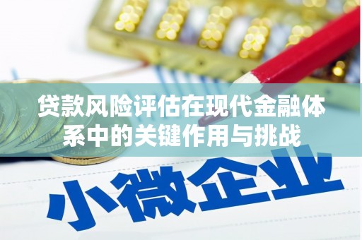 聂荣贷款风险评估在现代金融体系中的关键作用与挑战
