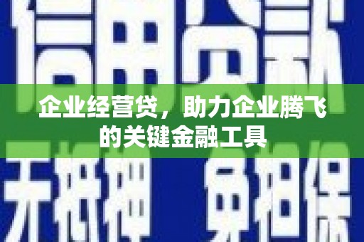 聂荣企业经营贷，助力企业腾飞的关键金融工具
