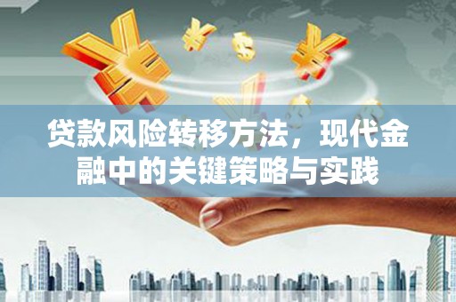 聂荣贷款风险转移方法，现代金融中的关键策略与实践