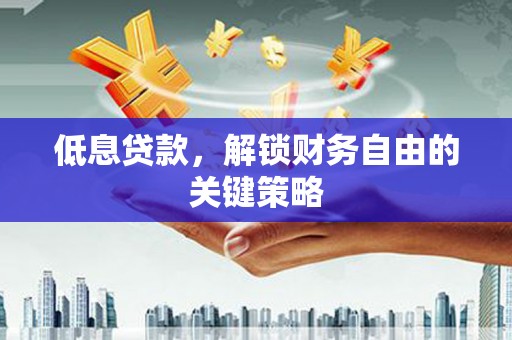 聂荣低息贷款，解锁财务自由的关键策略