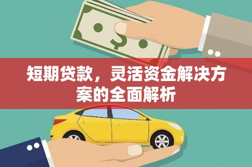 聂荣短期贷款，灵活资金解决方案的全面解析