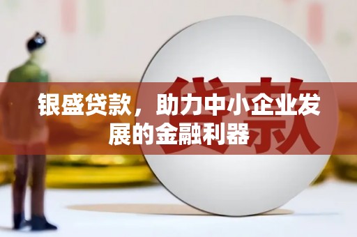 聂荣银盛贷款，助力中小企业发展的金融利器