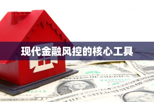 聂荣现代金融风控的核心工具