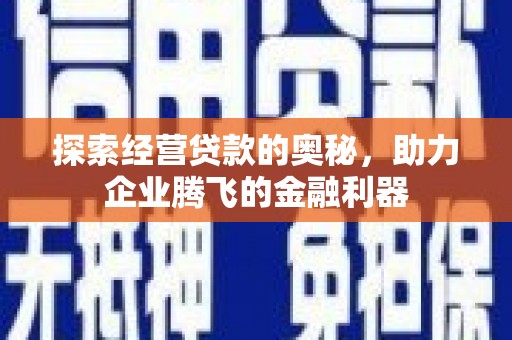 聂荣探索经营贷款的奥秘，助力企业腾飞的金融利器