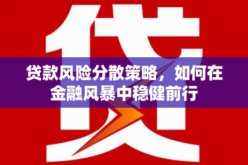 聂荣贷款风险分散策略，如何在金融风暴中稳健前行