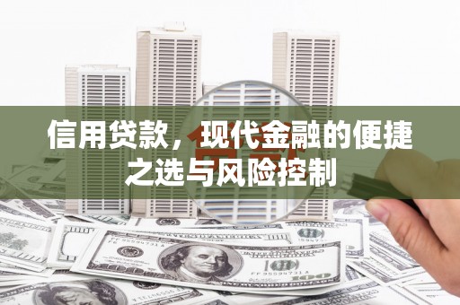 聂荣信用贷款，现代金融的便捷之选与风险控制