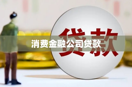 聂荣消费金融公司贷款