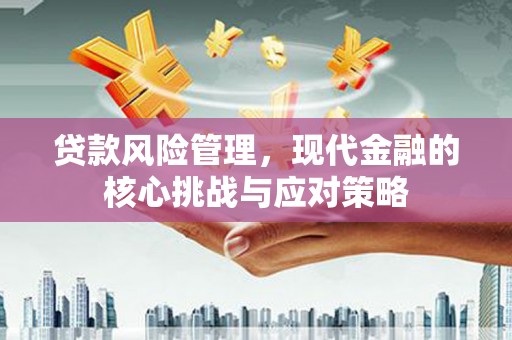 聂荣贷款风险管理，现代金融的核心挑战与应对策略