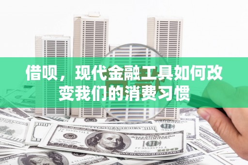 聂荣借呗，现代金融工具如何改变我们的消费习惯
