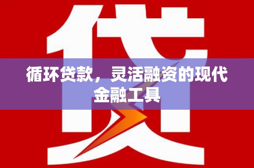 聂荣循环贷款，灵活融资的现代金融工具