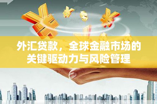 聂荣外汇贷款，全球金融市场的关键驱动力与风险管理