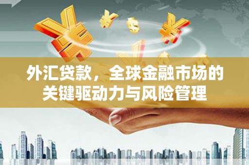 聂荣外汇贷款，全球金融市场的关键驱动力与风险管理