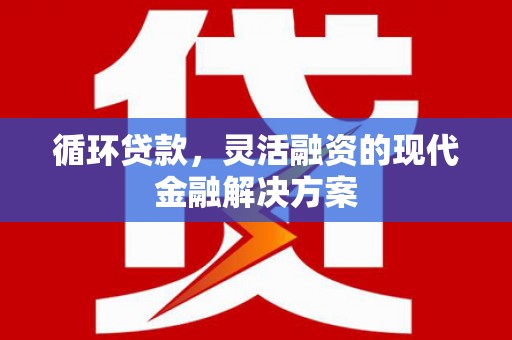 聂荣循环贷款，灵活融资的现代金融解决方案