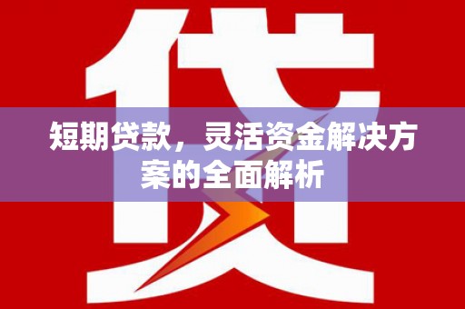 聂荣短期贷款，灵活资金解决方案的全面解析