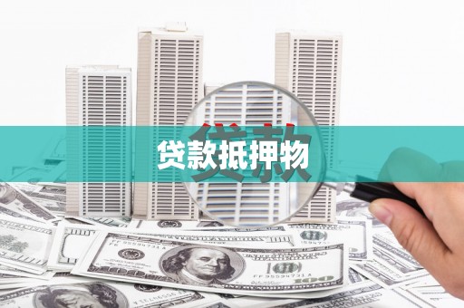 聂荣贷款抵押物