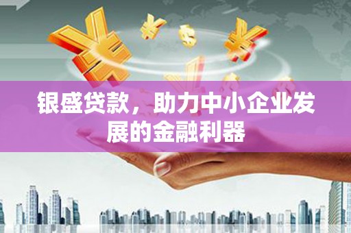 聂荣银盛贷款，助力中小企业发展的金融利器