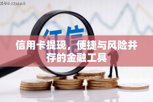 聂荣信用卡提现，便捷与风险并存的金融工具