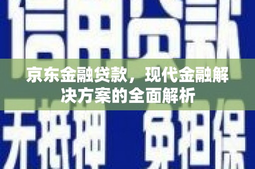 聂荣京东金融贷款，现代金融解决方案的全面解析