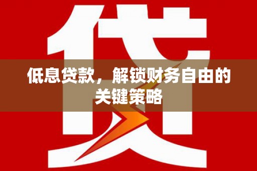 聂荣低息贷款，解锁财务自由的关键策略