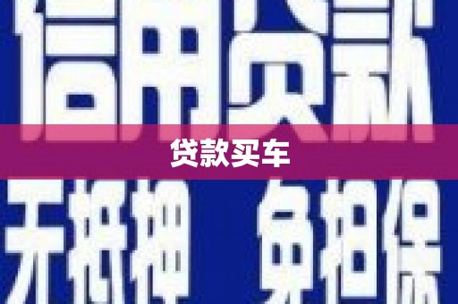 聂荣贷款买车