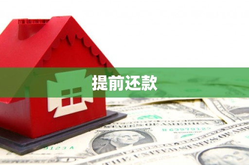 聂荣提前还款
