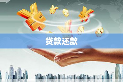 聂荣贷款还款