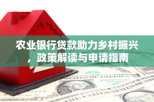 聂荣农业银行贷款助力乡村振兴，政策解读与申请指南