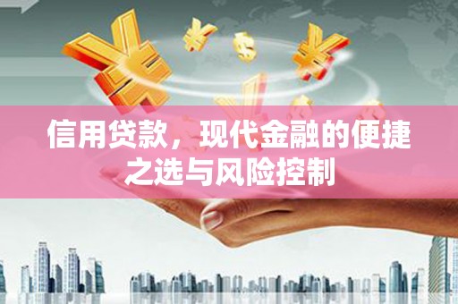 聂荣信用贷款，现代金融的便捷之选与风险控制