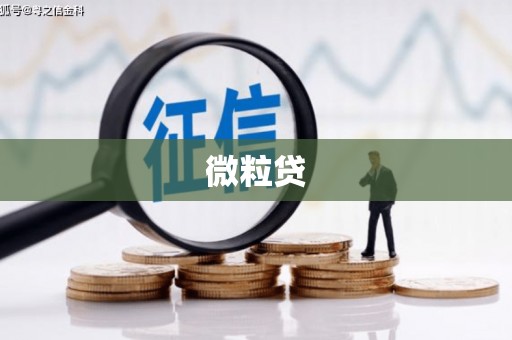 聂荣微粒贷