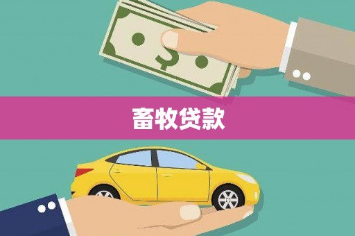 聂荣畜牧贷款