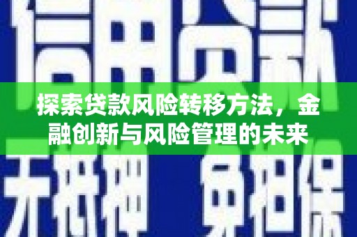 聂荣探索贷款风险转移方法，金融创新与风险管理的未来