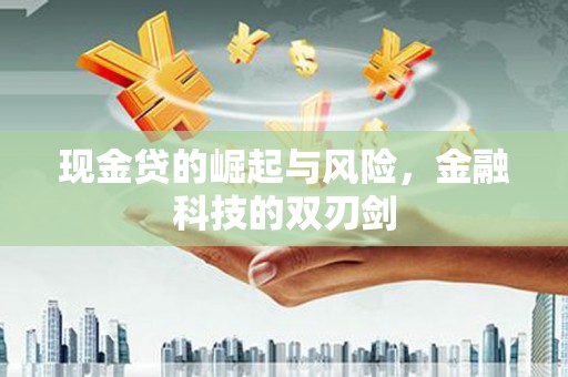 聂荣现金贷的崛起与风险，金融科技的双刃剑