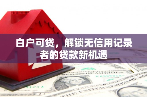 聂荣白户可贷，解锁无信用记录者的贷款新机遇