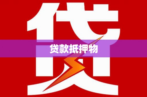 聂荣贷款抵押物