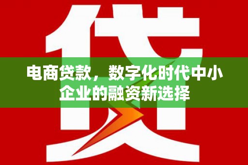 聂荣电商贷款，数字化时代中小企业的融资新选择