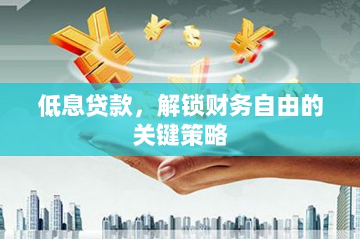 聂荣低息贷款，解锁财务自由的关键策略