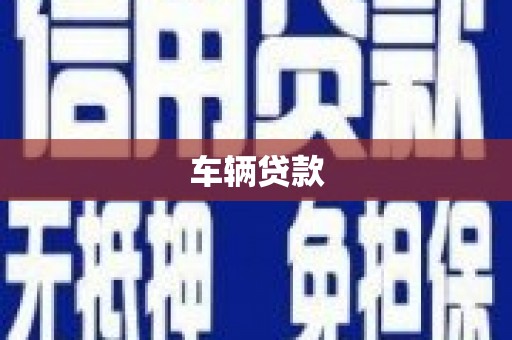 聂荣车辆贷款