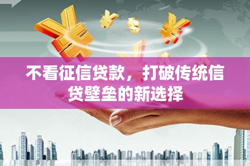 聂荣不看征信贷款，打破传统信贷壁垒的新选择