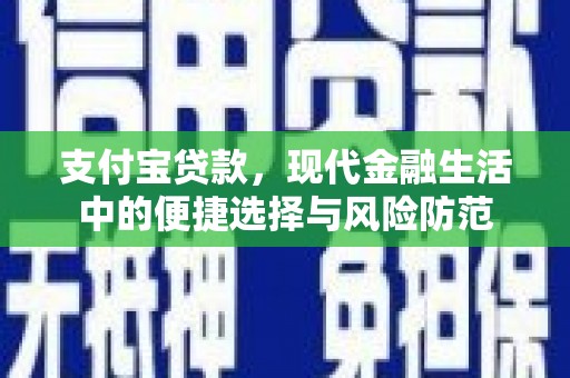 聂荣支付宝贷款，现代金融生活中的便捷选择与风险防范
