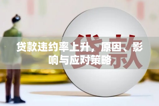 聂荣贷款违约率上升，原因、影响与应对策略