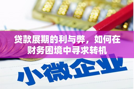 聂荣贷款展期的利与弊，如何在财务困境中寻求转机