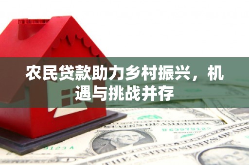 聂荣农民贷款助力乡村振兴，机遇与挑战并存