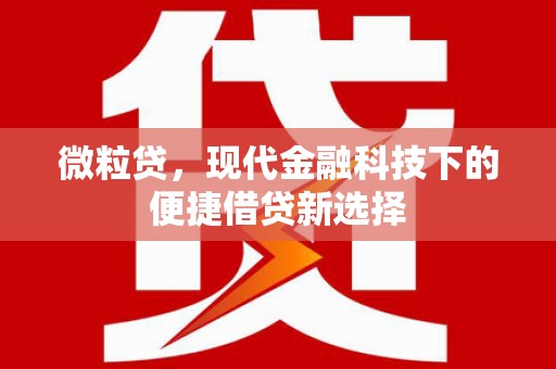 聂荣微粒贷，现代金融科技下的便捷借贷新选择