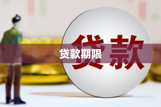 聂荣贷款期限
